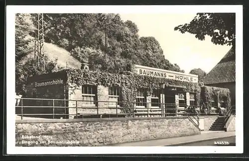 AK Rübeland / Harz, Eingang zur Baumannshöhle