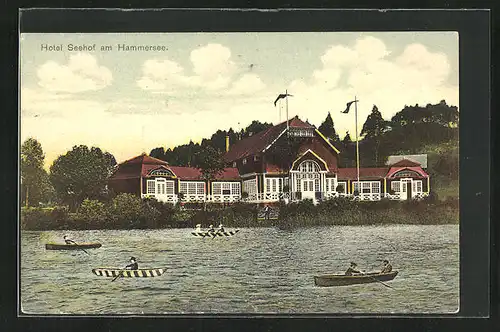 AK Hammer Am See / Hamr Na Jezere, Hotel Seehof, Ruderboote auf dem See