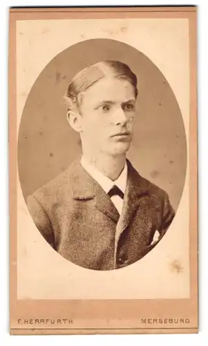 Fotografie F. Herrfurth, Merseburg, Brüh 4, Portrait junger Herr im Anzug mit Fliege