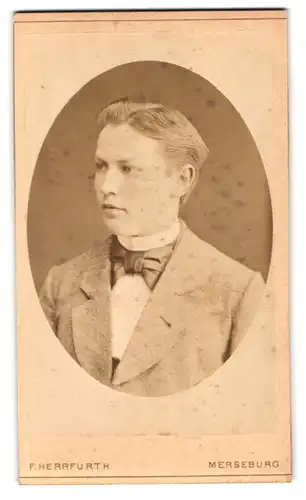 Fotografie F. Herrfurth, Merseburg, Brüh 4, Portrait junger Herr im Anzug mit Fliege