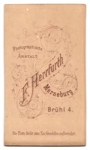 Fotografie F. Herrfurth, Merseburg, Brühl 4, Portrait junger Herr im Anzug mit Fliege