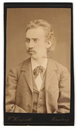 Fotografie F. Herrfurth, Merseburg, Brühl 4, Portrait modisch gekleideter Herr mit The Zappa