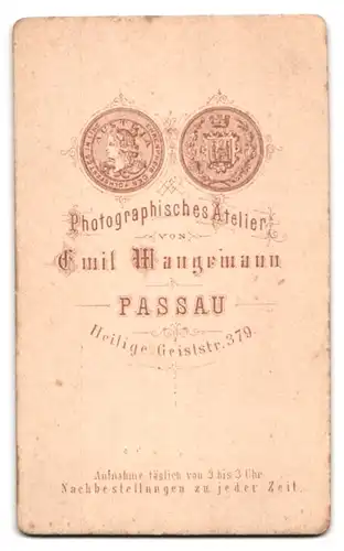 Fotografie Emil Wangemann, Passau, Heilige Geiststrasse 379, Portrait junger Herr im Anzug mit Fliege