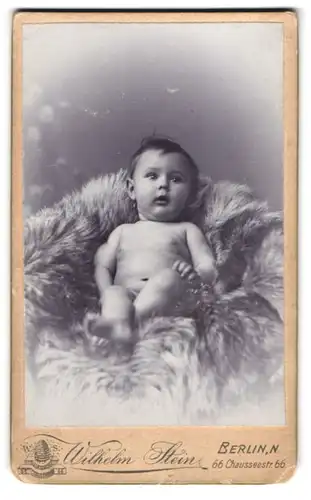 Fotografie Wilhelm Stein, Berlin, Chausseestrasse 66, Nacktes Baby auf Tierfell, Portrait