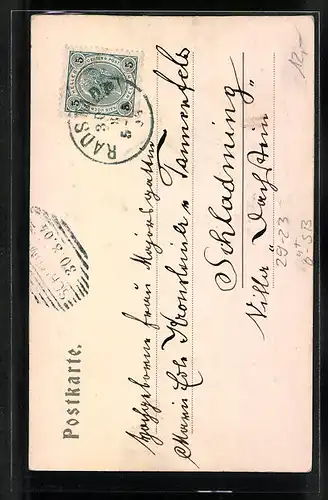 Relief-AK Radstadt, Flusspartie am Teichthurm