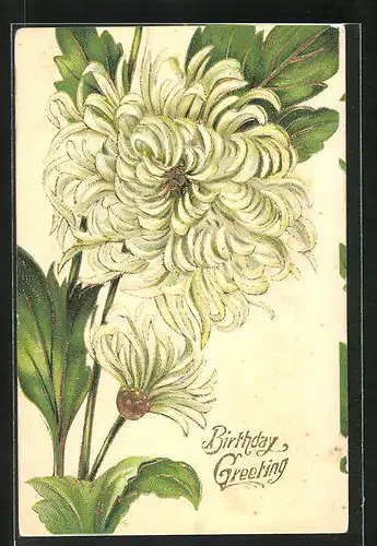 Präge-AK Weisse Blume, Geburtstagsgruss