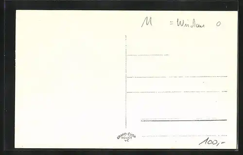 AK Wischau / Vyskov, Gebäudeansicht, Denkmal, Platz