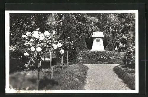 AK Wischau / Vyskov, Denkmal Bedrich Smetana