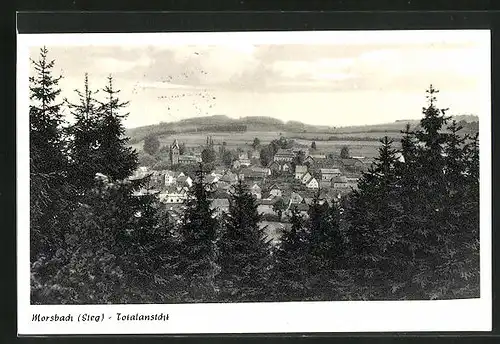 AK Morsbach, Totalansicht über Tannenspitzen