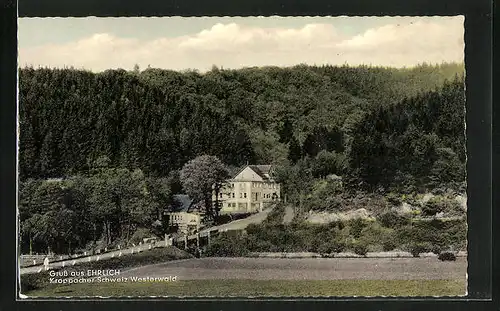 AK Ehrlich, Kroppacher Schweiz /Westerwald, Hotel-Pension Wedde-Bollmann im Wald