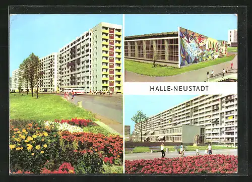 AK Halle-Neustadt, Hochhäuser und Blumenbeete