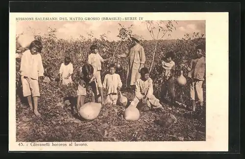 AK Matto Grosso, Missioni Salesiane del Matto Grosso, Giovanetti bororos al lavoro