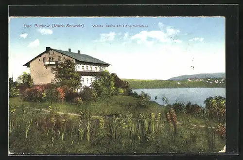 AK Bad Buckow, Hotel Weisse Taube am Schermützelsee