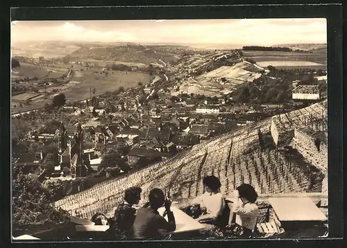 AK Freyburg /Unstrut, Blick vom Hotel Edelaske auf den Ort