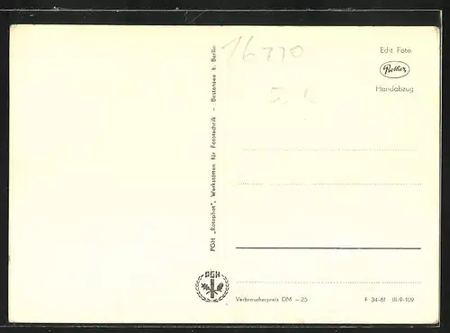AK Neuglobsow, FDGB-Erholungsobjekt, Innenansicht, Garten