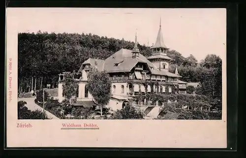 Relief-AK Zürich, Gasthaus Waldhaus Dolder