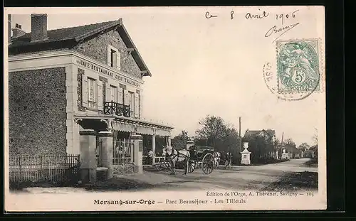 AK Morsang-sur-Orge, Parc Beauséjour, Les Tilleuls