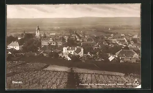 AK Bzenec, Panorama