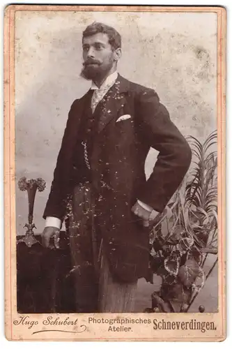 Fotografie Hugo Schubert, Schneverdingen, Portrait modisch gekleideter Herr mit Vollbart