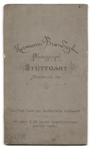 Fotografie Hermann Brandseph, Stuttgart, Marienstrasse 36, Dame mit Brosche und Blick zur Seite