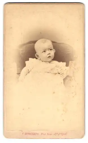 Fotografie F. Brandseph, Stuttgart, Marienstrasse 36, Baby mit neugierigem Blick