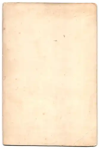 Fotografie Th. Schütz, Bremen, Lindenstr. 22, Portrait Bremerin im Trachtenkleid mit Schleife und Kette, Trockenstempel