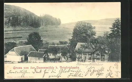 AK Friedrichroda, Gasthaus Dammmühle mit Umgebung