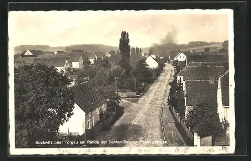 AK Bockwitz ü. Torgau, Strassenpartie aus der Vogelschau