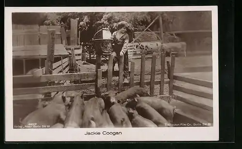 AK Schauspieler Jackie Coogan beim Schweine füttern