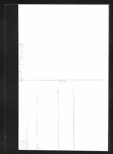 Foto-AK Junge Damen bei einer Modenschau