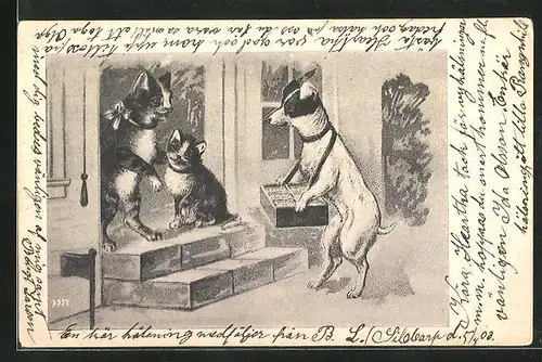 Künstler-AK Terrier mit Bauchladen verkauft Waren an Katze, vermenschlichte Tiere
