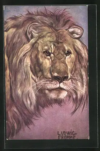 Künstler-AK Ludwig Fromme: Gesicht eines Löwens