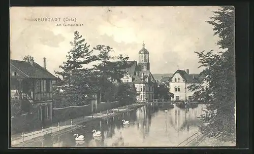 AK Neustadt /Orla, Am Gamsenteich