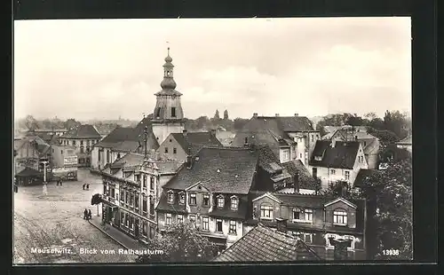AK Meuselwitz, Blick vom Rathausturm