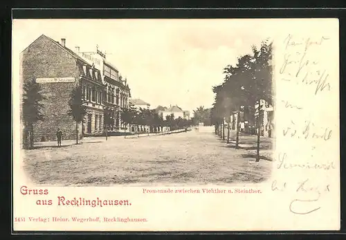 AK Recklinghausen, Promenade zwischen Viehthor und Steinthor