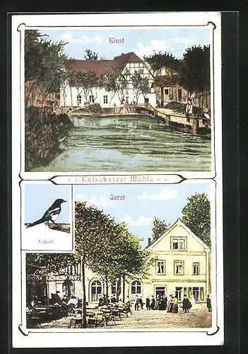 AK Eutschütz, Gasthaus Eutschützer Mühle einst und jetzt, Vogel Jakob