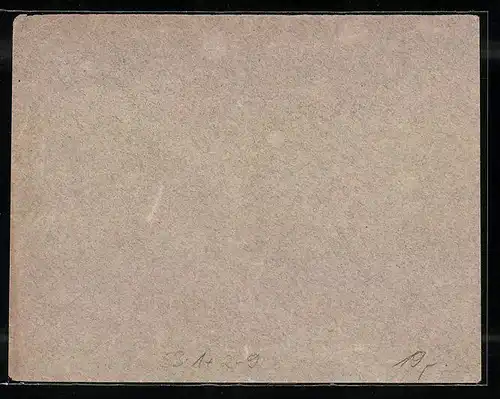 Umschlag Berlin, 1895, Private Stadtpost Neue Berliner Omnibus- u. Packetfahrt Aktien Gesellschaft