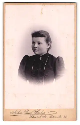 Fotografie Paul Sacher, Schweidnitz, Peters-Str. 22, Portrait junge Dame mit zurückgebundenem Haar