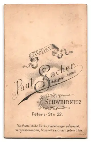 Fotografie Paul Sacher, Schweidnitz, Peters-Str. 22, Portrait junge Dame mit zurückgebundenem Haar