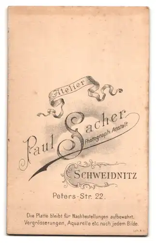 Fotografie Paul Sacher, Schweidnitz, Peters-Strasse 22, Portrait junge Dame mit zurückgebundenem Haar