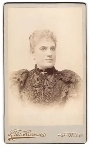 Fotografie Heinr. Harmsen, Wien, Hauptstrasse 26, Portrait bürgerliche Dame im bestickten Kleid