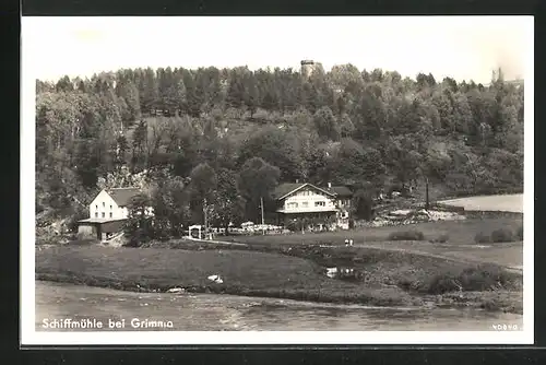 AK Schiffmühle b. Grimma, Ortsansicht mit Fluss und Wald