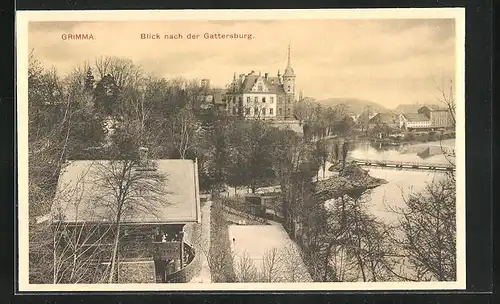 AK Grimma, Blick zur Gattersburg aus der Vogelschau