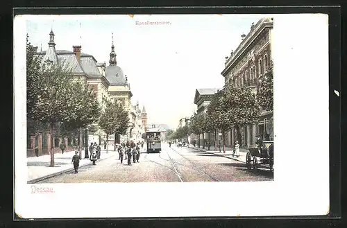 AK Dessau, Strassenbahn auf der Kavalierstrasse