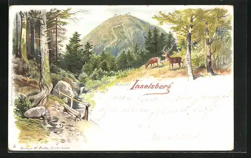 Lithographie Inselsberg, Waldidyll im Sommer