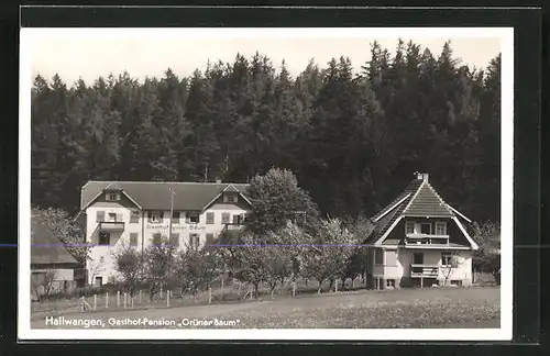 AK Hallwangen, Gasthof-Pension Grüner Baum, Inh.: Wilhelm Sailer