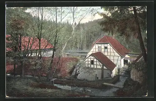 AK Eisenberg i. Thür., Die Froschmühle