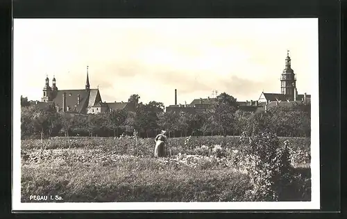 AK Pegau i. Sa., Ortspartie mit Kirchen