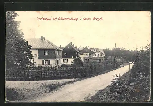 AK Oberbärenburg i. sächs. Erzgeb., Waldidylle an Ortschaft