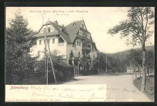 AK Bärenburg i. sächs. Erzgebirge, Hotel und Pension Bärenburg